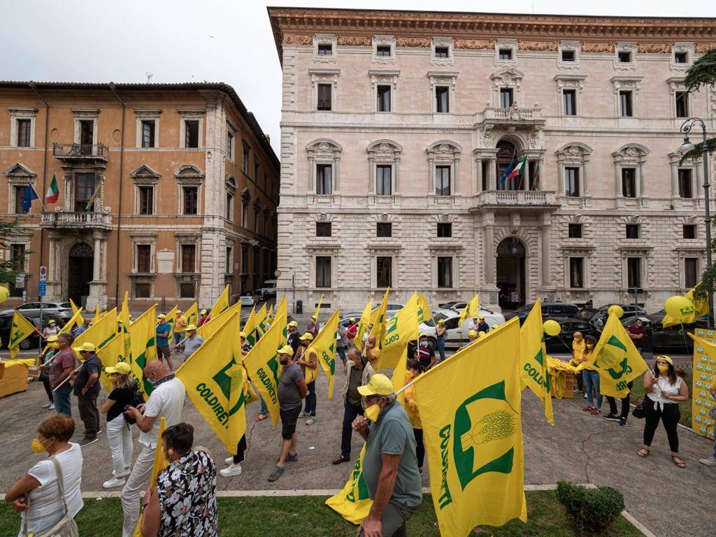 Coldiretti In Piazza Contro I Danni All Agricoltura Causati Dai